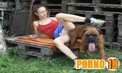 Cão foguento chupando xaninha da ninfeta e metendo